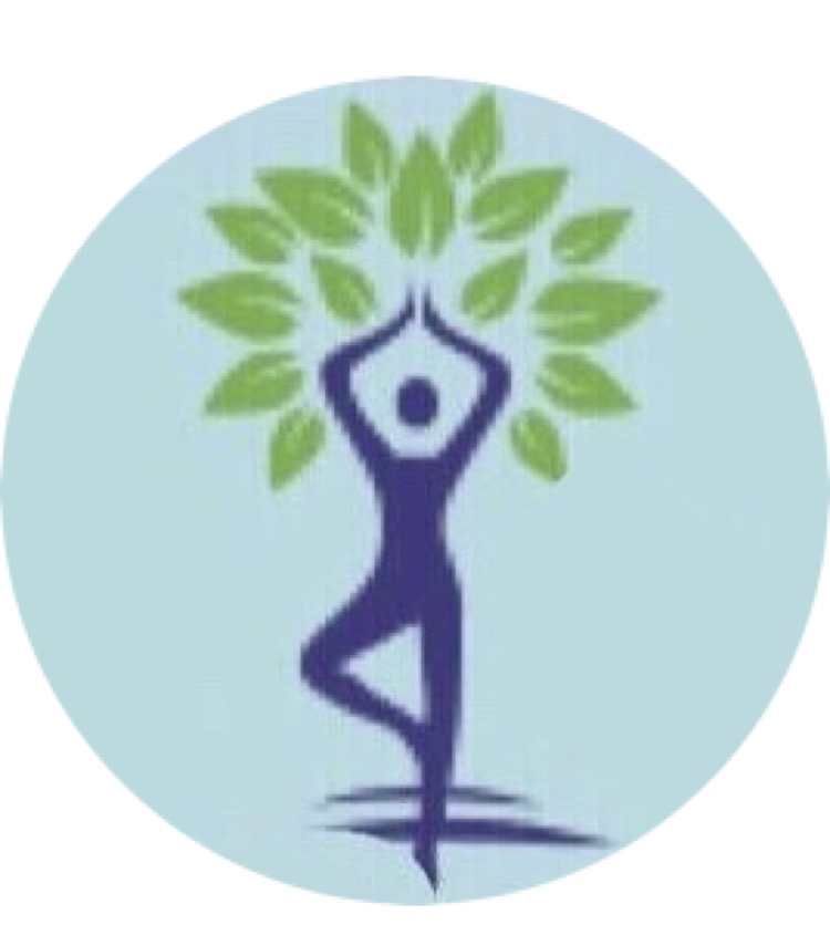 سوجوک مقدماتی  ترم ۱